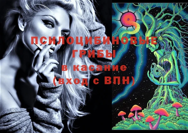 сатива Ладушкин