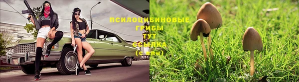 2c-b Лабытнанги