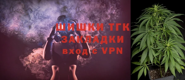 сатива Ладушкин