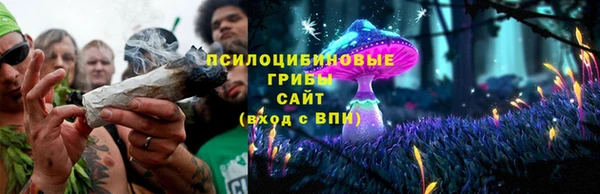 2c-b Лабытнанги