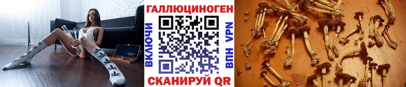 Купить закладки  Ленск  Псилоцибиновые грибы GOLDEN TEACHER 